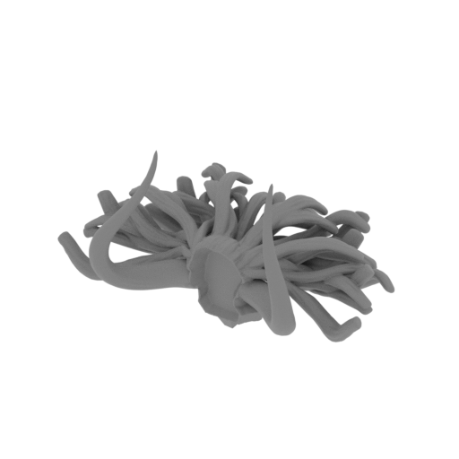 kaido head split backhair in 1 piece.stl