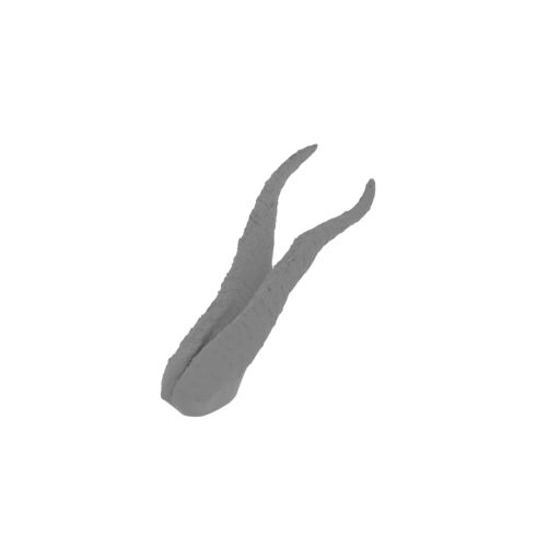 9_horn_R_top_for_right_head_FDM(repaired).stl