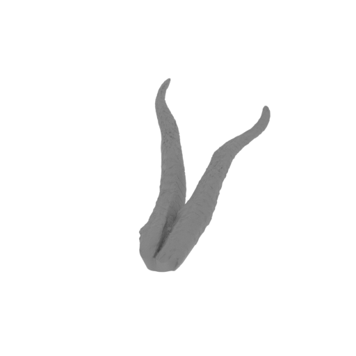 2_horn_R_top_for_medium_head_FDM(repaired).stl