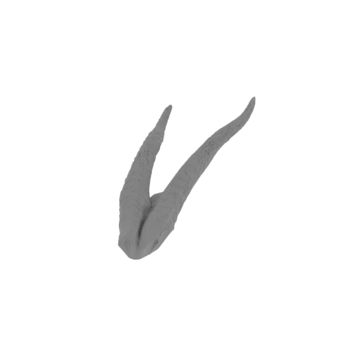 10_horn_L_top_for_right_head_FDM(repaired).stl