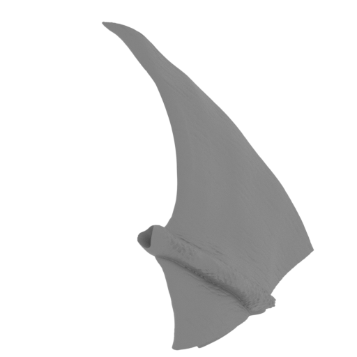 52_wing_R_10_FDM(repaired).stl