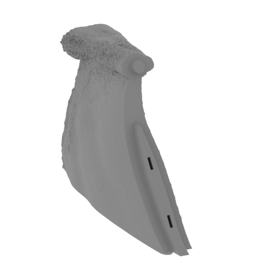 54_wing_R_12_FDM(repaired).stl