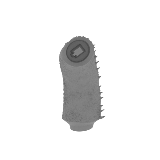 36_tail_R_3_FDM(repaired).stl