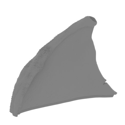 74_wing_L_12_FDM(repaired).stl