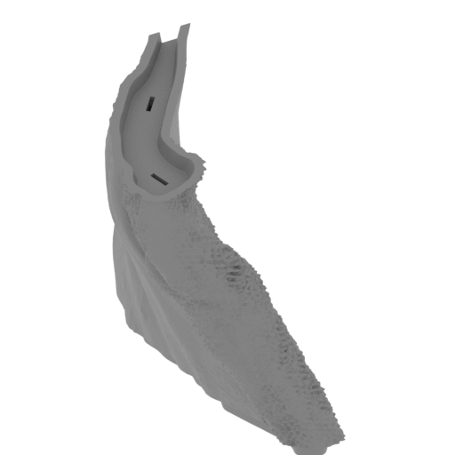 65_wing_L_3_FDM(repaired).stl