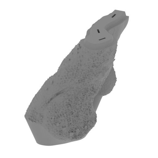 43_wing_R_1_FDM(repaired).stl