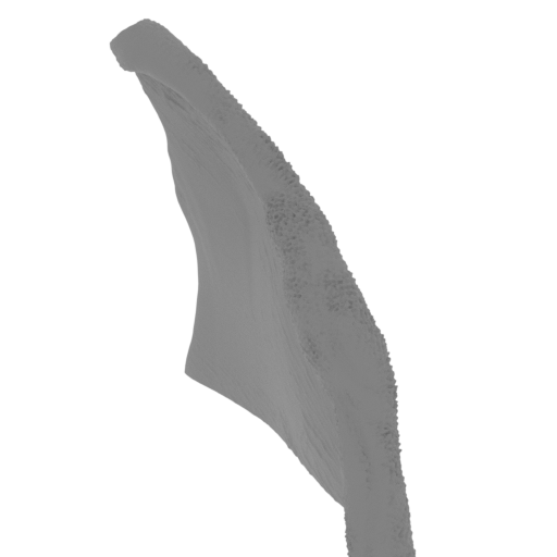 55_wing_R_13_FDM(repaired).stl