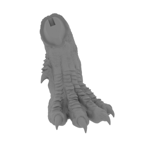 33_foot_L_FDM(repaired).stl