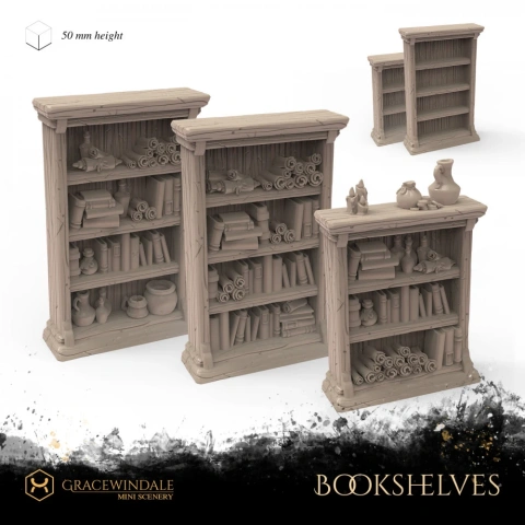 Three detailed miniature bookshelves with scrolls, books, and small decorative objects, labeled 'Bookshelves.'