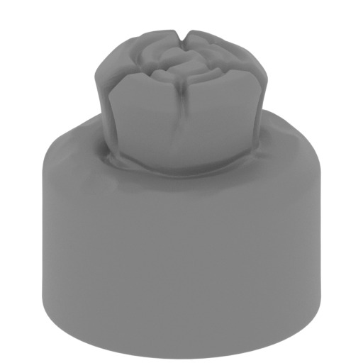 Gracewindale-cart-wheel-plug.stl