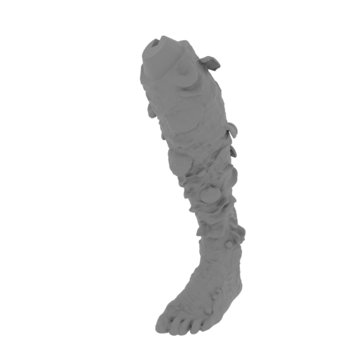 10_foot_L_FDM(repaired).stl