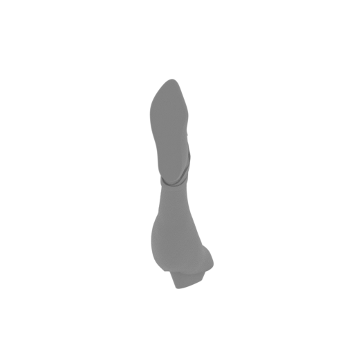 11_foot_R_FDM(repaired).stl