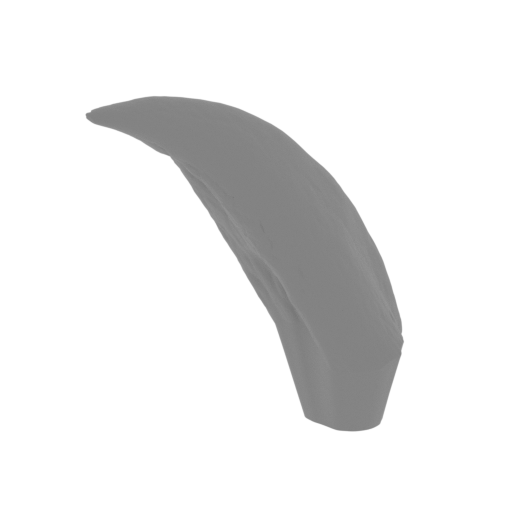 13_claw_R_2_FDM(repaired).stl