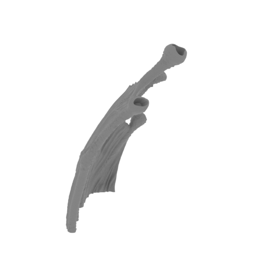 19_wing_L_2_FDM(repaired).stl