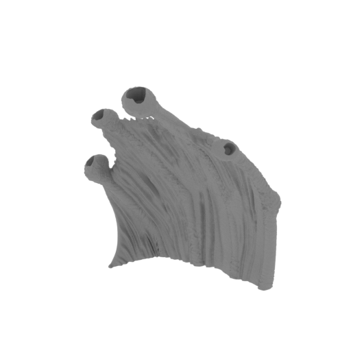 11_wing_R_2_FDM(repaired).stl