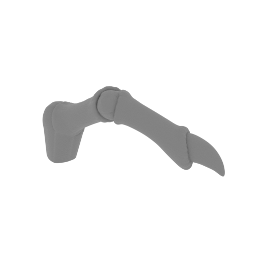 9_Draygon_paw_1_FDM(repaired).stl