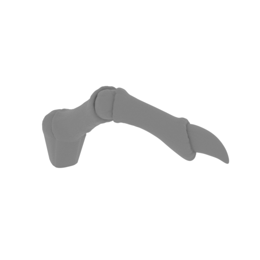 11_Draygon_paw_3_FDM(repaired).stl