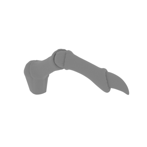 10_Draygon_paw_2_FDM(repaired).stl