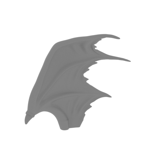 6_Ridley_wing_L_FDM(repaired).stl