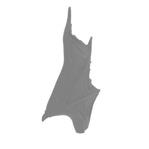 5_Ridley_wing_R_FDM(repaired).stl