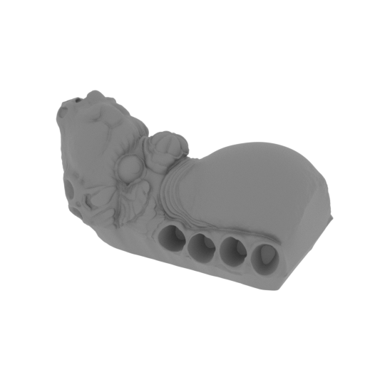 7_Draygon_body_FDM(repaired).stl