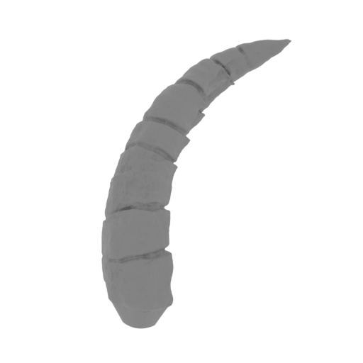 30_horn_R_2_for_platform_FDM(repaired).stl