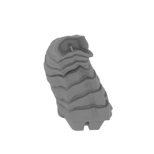 29_horn_R_1_for_platform_FDM(repaired).stl