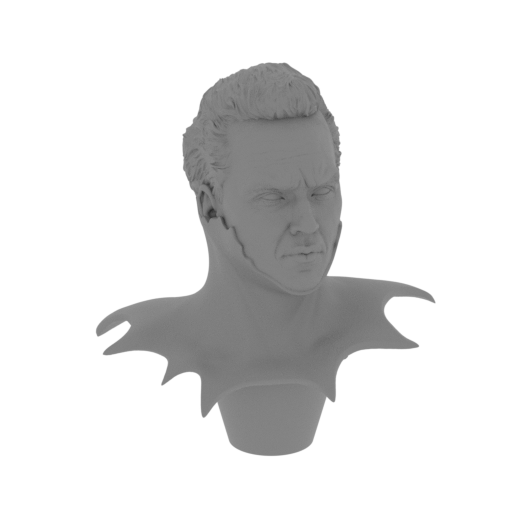 1_head_V_1_for_cloack_V_1_FDM(repaired).stl