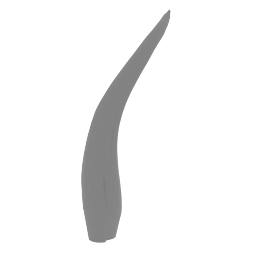 4_fang_R_FDM(repaired).stl