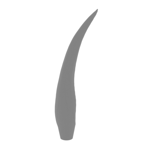 5_fang_L_FDM(repaired).stl