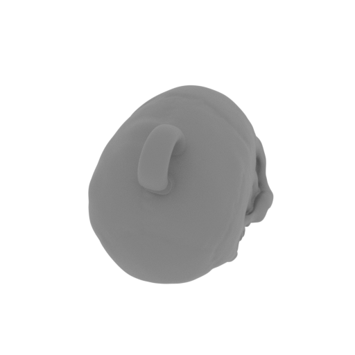 21_scull_2_FDM(repaired).stl