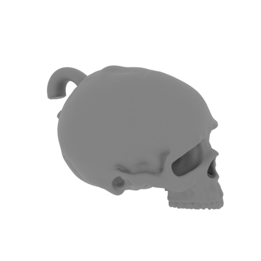 20_scull_1_FDM(repaired).stl