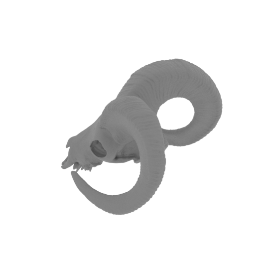 19_ram_scull_FDM(repaired).stl