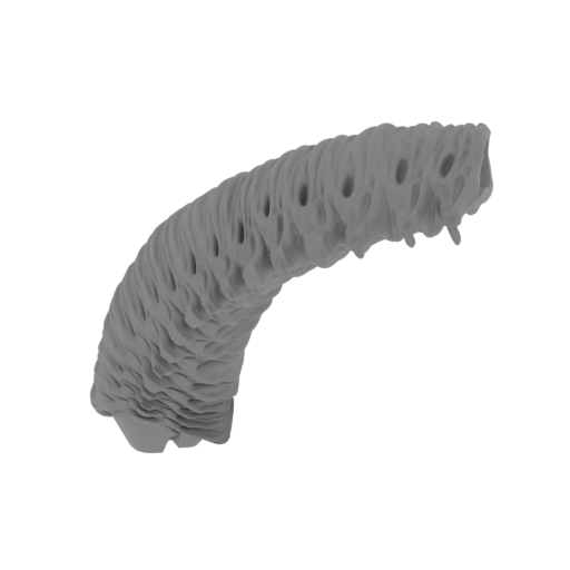 15_tail_1_FDM(repaired).stl