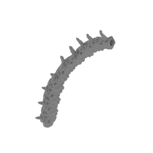 17_tail_3_FDM(repaired).stl