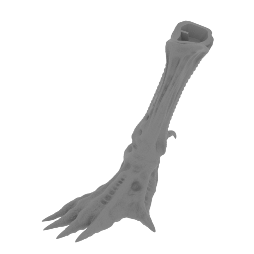 11_foot_R_FDM(repaired).stl