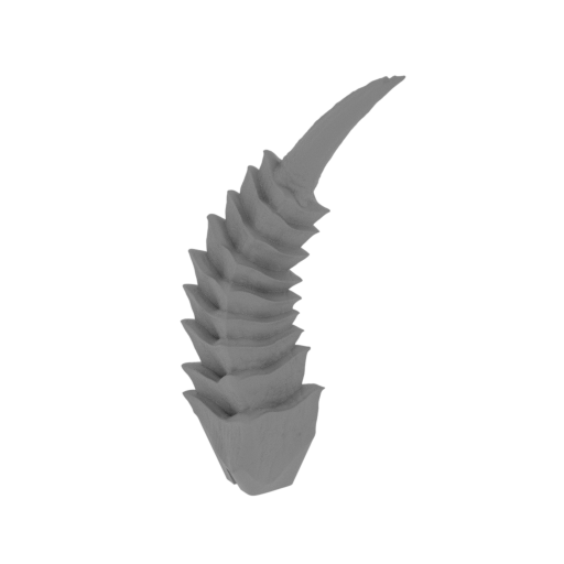 28_back_horn_L_3_FDM(repaired).stl
