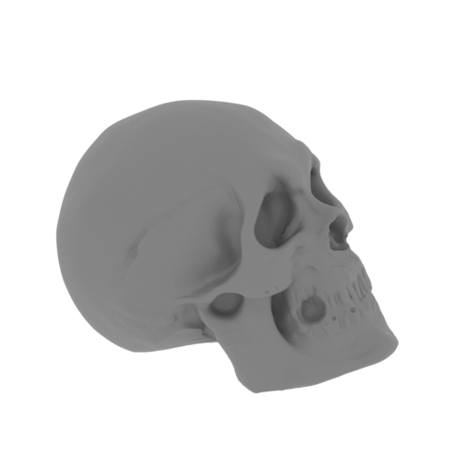 23_scull_3_FDM(repaired).stl