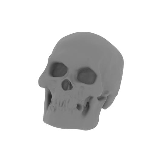 21_scull_1_FDM(repaired).stl