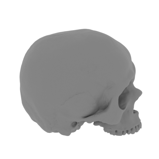 22_scull_2_FDM(repaired).stl