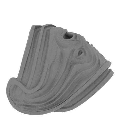 10_scapular_R_FDM(repaired).stl