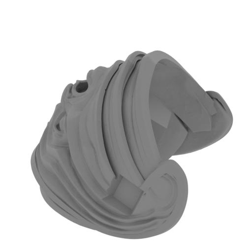 11_scapular_1_L_FDM(repaired).stl