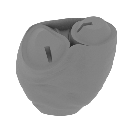 5_pelvis_FDM(repaired).stl
