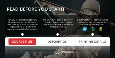 3D model download page for Roronoa Zoro, featuring source files and printing details.