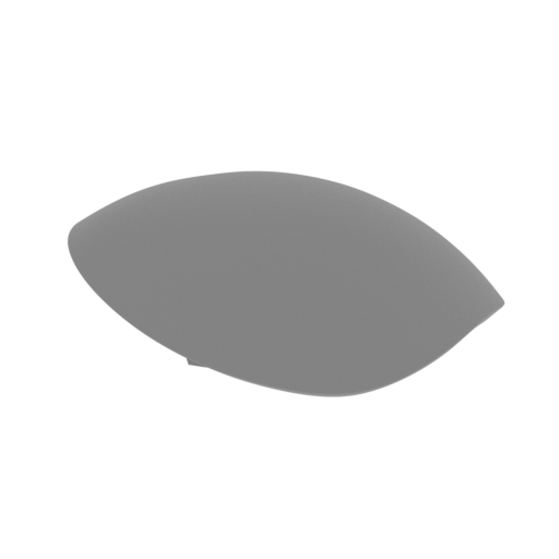 13_scapular_R_FDM(repaired).stl