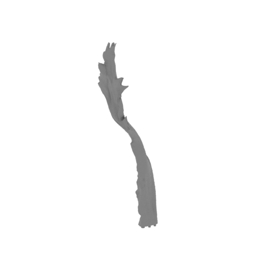 25_apparel_19_FDM(repaired).stl