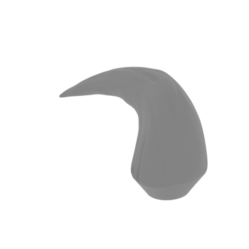 13_fang_R_FDM(repaired).stl