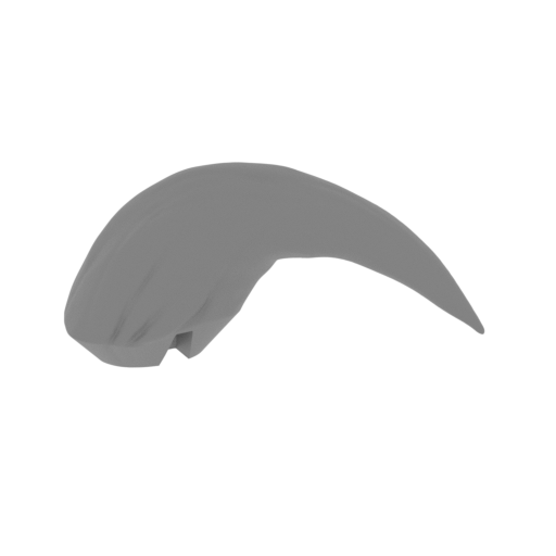 14_fang_L_FDM(repaired).stl