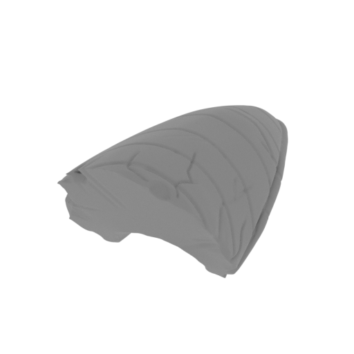 56_scapular_on_rock_FDM(repaired).stl