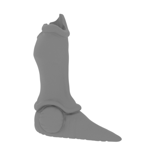 30_Cell_foot_R_FDM(repaired).stl